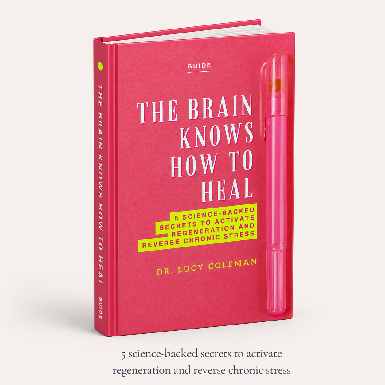 The Brain Knows How to Heal